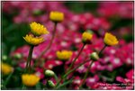 DSC05290
