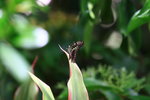 IMG_5460