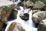 IMG_3381