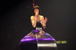 DSC06984