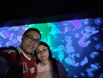 P_20240907_144200