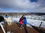 IMG_20250303_131236_086
