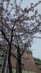20260313_075306
