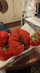 IMG-20260316-WA0027