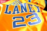 LANEY MJ 23