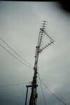 33500029