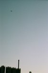 35360034