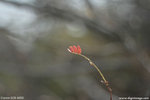 _mg_6735