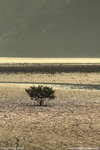 _mg_6860