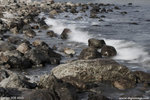 _mg_6975
