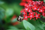 IMG_3424
