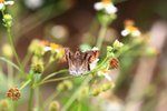 IMG_9044
