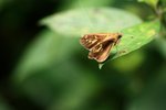 IMG_4840