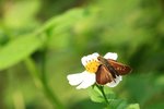 IMG_5170