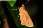 IMG_1274_調整大小