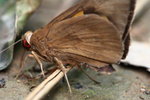 IMG_7080_調整大小