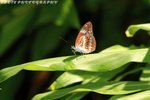 IMG_7789