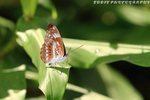 IMG_7797