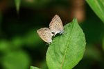 IMG_6121