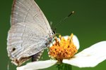 IMG_6278