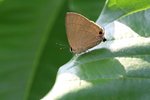 IMG_8591