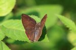 IMG_8595