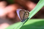 IMG_7202