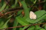 IMG_0733