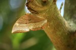 IMG_5543