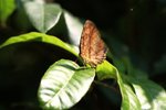 IMG_8493