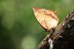 IMG_5680