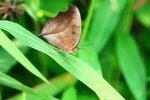 IMG_8541