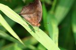 IMG_8545