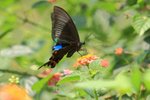 IMG_5571
