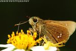 IMG_0573