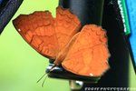 IMG_1614
