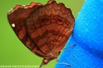 IMG_1742