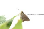 IMG_0574_調整大小