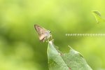 IMG_0600_調整大小