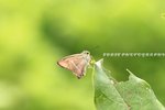 IMG_0635_調整大小