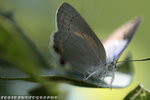 IMG_8974_調整大小