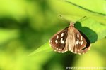 IMG_8261_調整大小