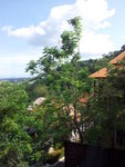 20120414_162457