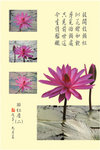 [葉桂榮] - 醉紅塵(二)