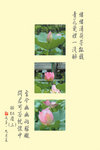 [葉桂榮] - 醉紅塵(三)