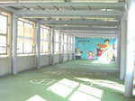 tinsiu3