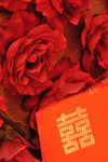 PDC_0596