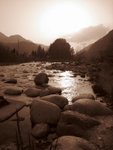 IMG_4245