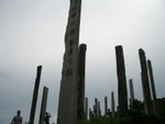 IMGP9972