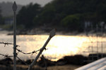 IMG_9192